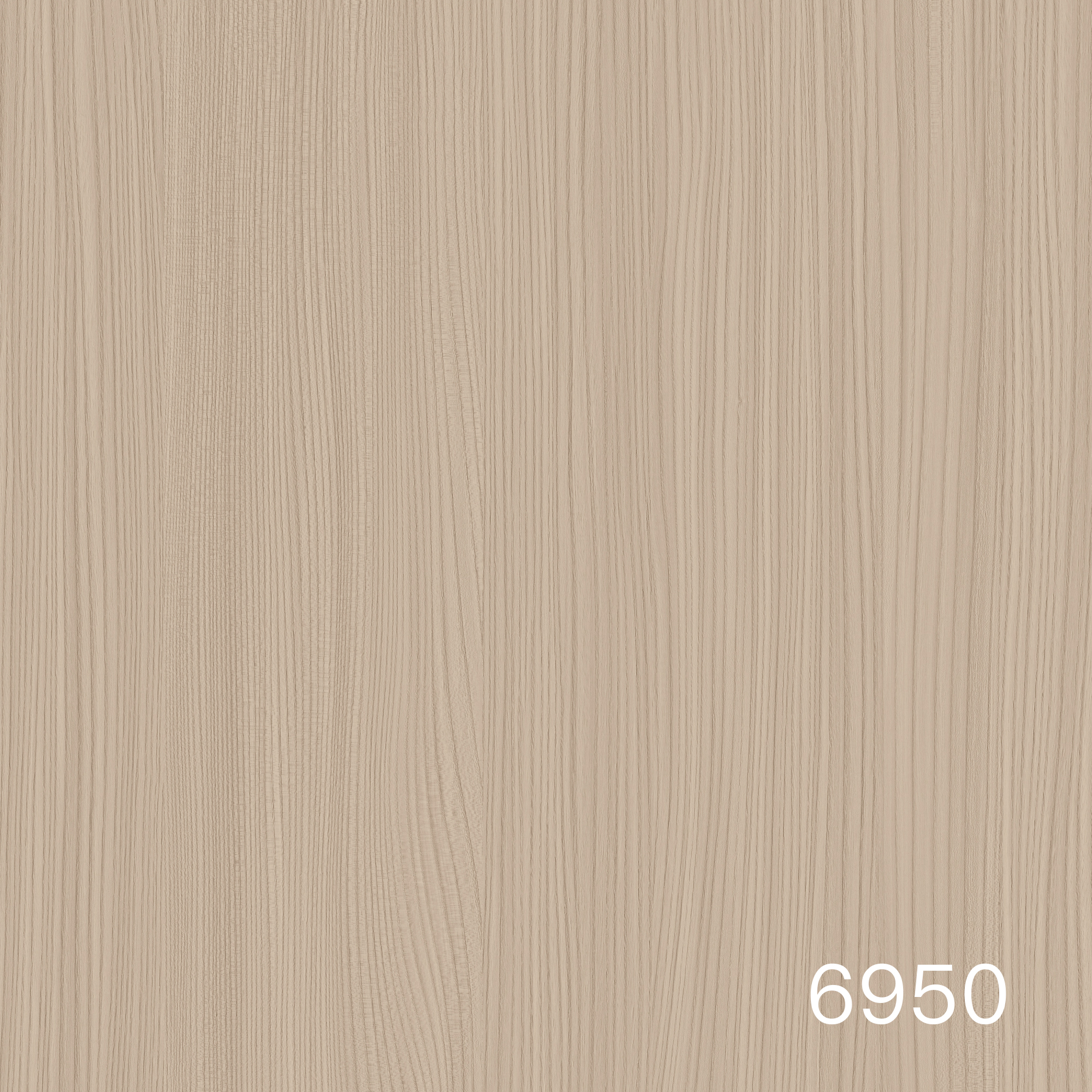 6950